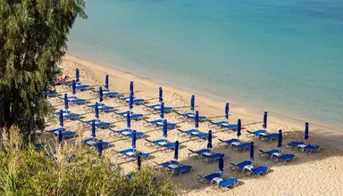Mediterranee