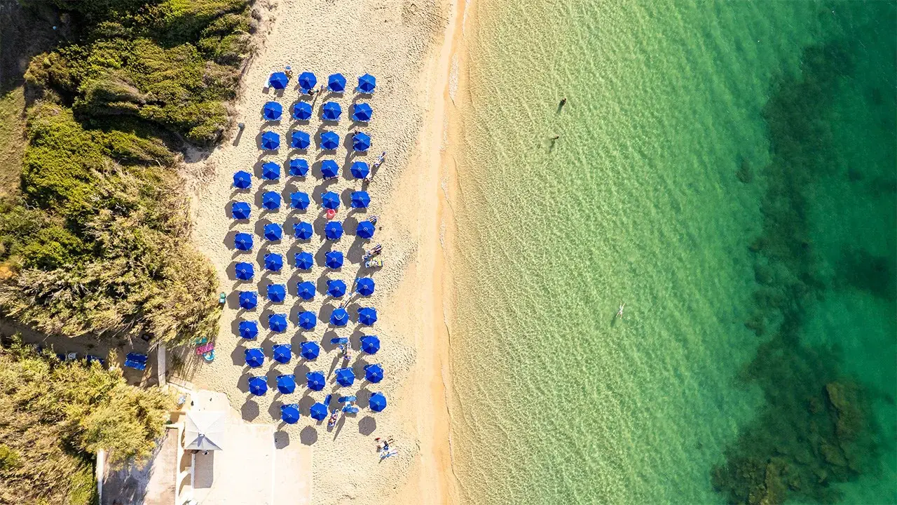 Mediterranee