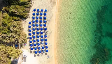 Mediterranee
