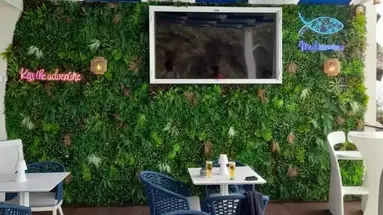 Mediterraneo Hotel Madeira
