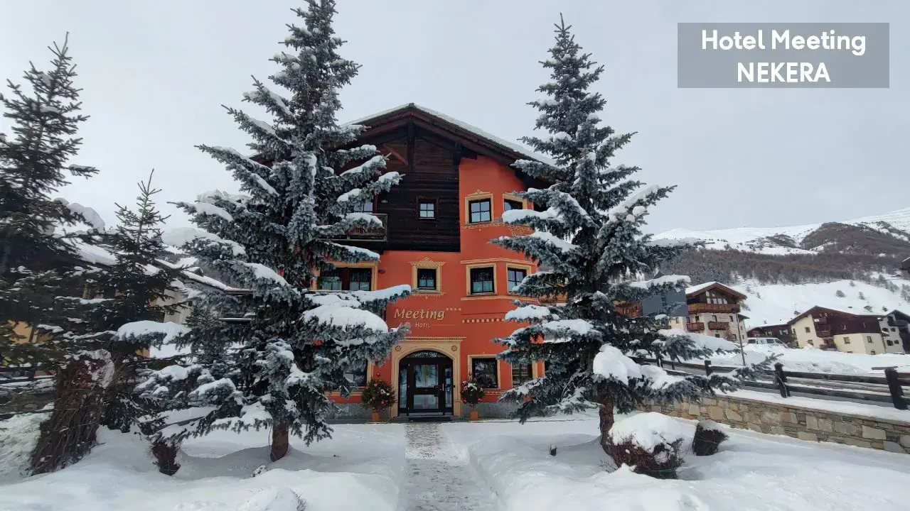 Meeting (Livigno)