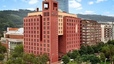 Melia (Bilbao)
