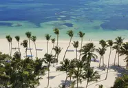 Melia Caribe Beach Resort