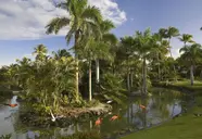 Melia Caribe Beach Resort