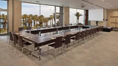 Melia Costa del Sol