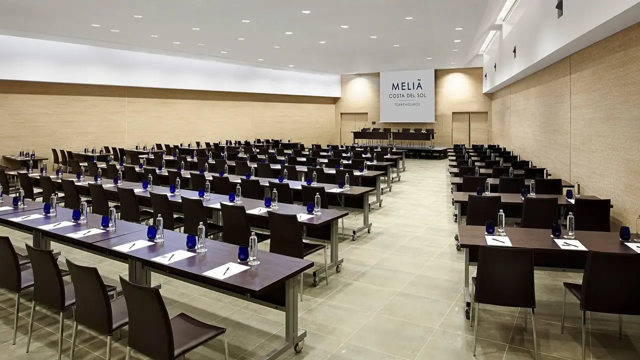 Melia Costa del Sol