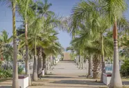 Melia Internacional