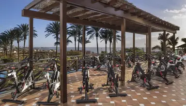 Melia Jardines Del Teide