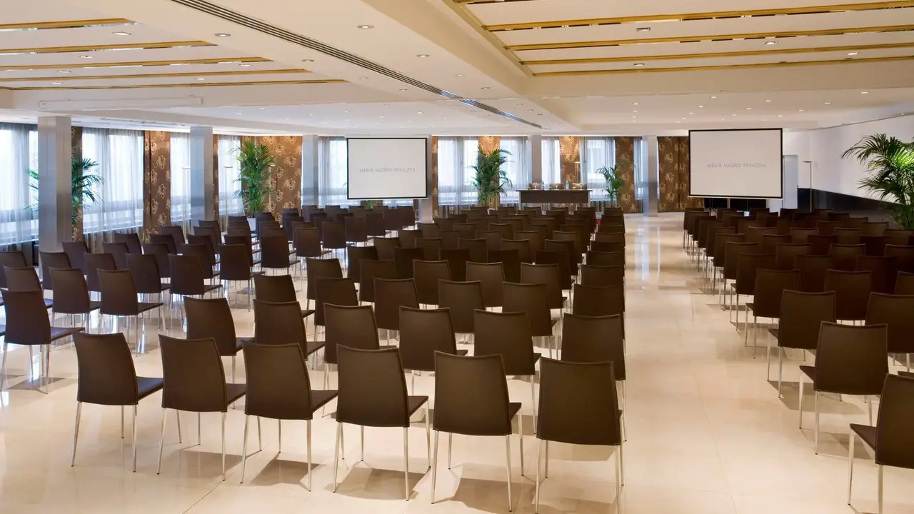 Melia Madrid Princesa