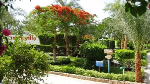 Hotel Menaville Safaga