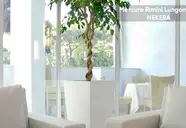 Mercure Lungomare