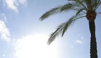 Miami