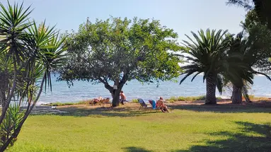 Mimoza Beach