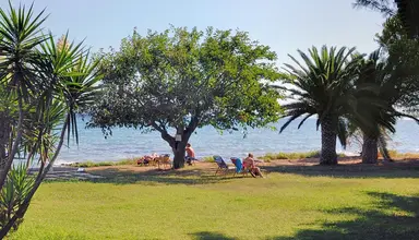 Mimoza Beach