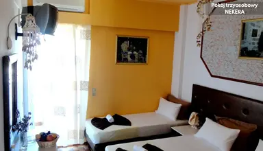 Minoa Malia