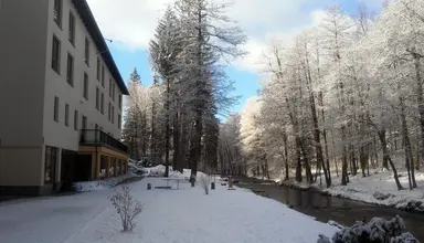 Mir - Jan