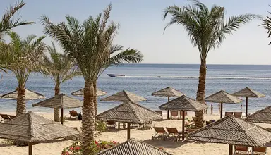 Miramar Al Aqah Beach Resort