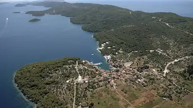 Mirta