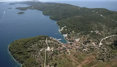 Mirta