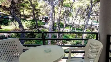 Mirta