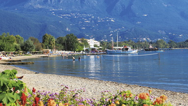 Mistral