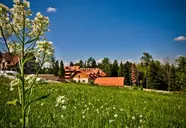 Modrzewiówka