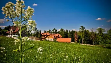 Modrzewiówka