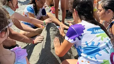 Mokambo Shore