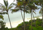 Mombasa Beach