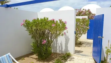 Monarque Dar Djerba Zahra