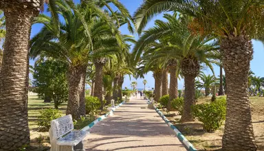 Monarque El Fatimi