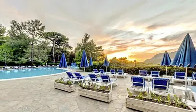 Montana Pine Resort
