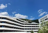 Montenegrina