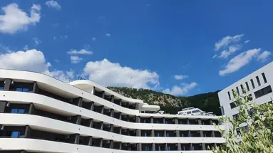 Montenegrina