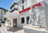 Montenegrina