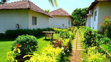 Morjim Resort