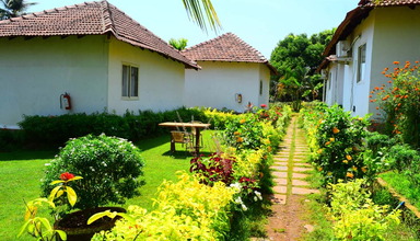 Morjim Resort
