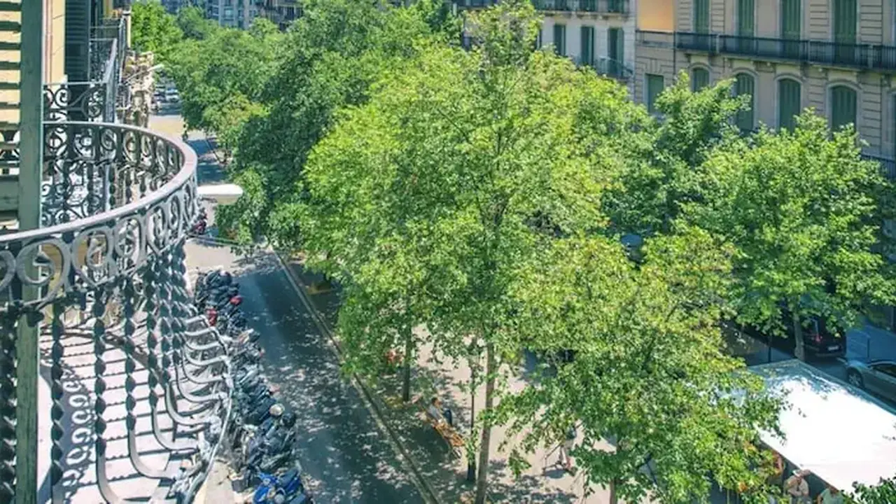 Mosaic Barcelona by Ona