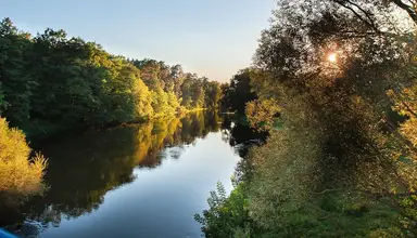 Mościcki