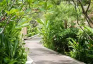 Movenpick Bangtao Beach
