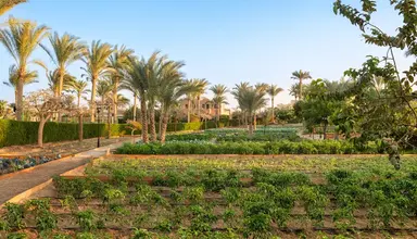 Movenpick Resort El Quseir