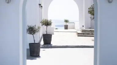 Mr. and Mrs. White Santorini