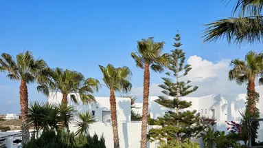 Mr & Mrs White Paros Suites & More