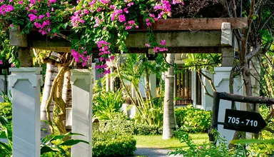 Muine Bay Resort
