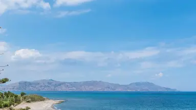 Musela Studios