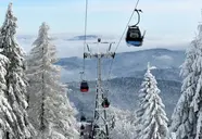Muszyna
