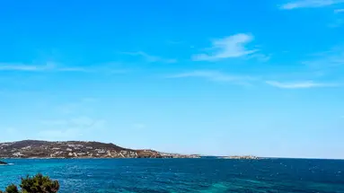 Mykonos Adonis