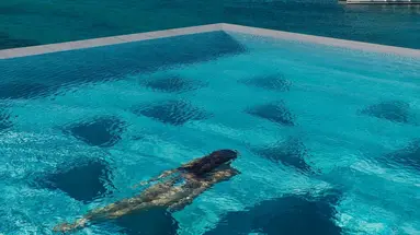 Mykonos Riviera