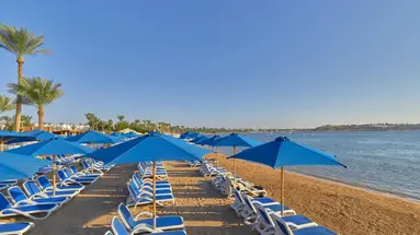 Naama Waves
