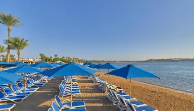 Naama Waves